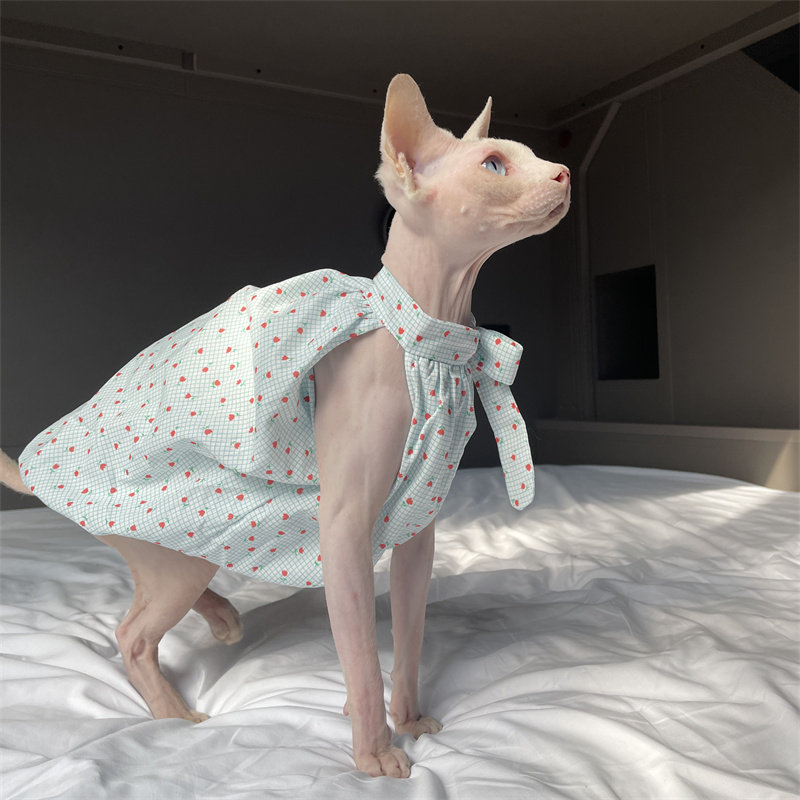 Cat Clothing in Summer Sweet L - Summer Light Clothing 리뷰 및 가격