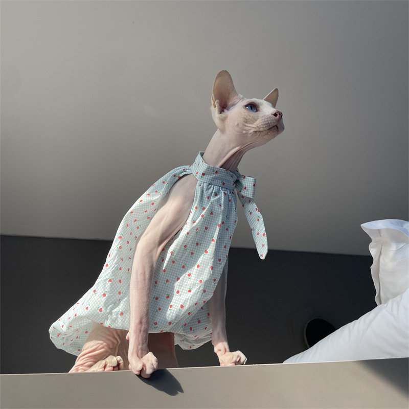 Cat Clothing in Summer Sweet L - Summer Light Clothing 리뷰 및 가격