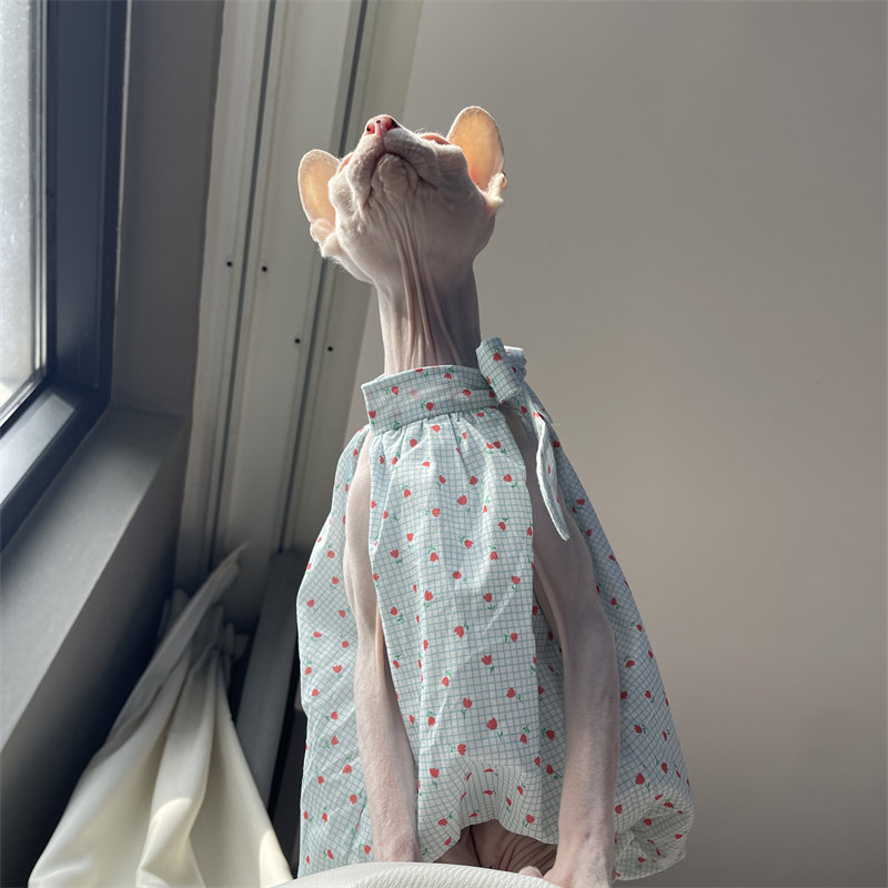 Cat Clothing in Summer Sweet L - Summer Light Clothing 리뷰 및 가격