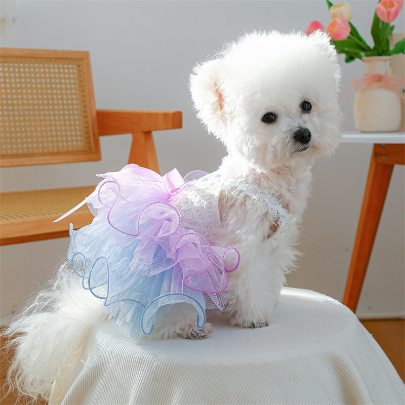 Layered Veil Wedding Dresses f - Summer Light Clothing 리뷰 및 가격