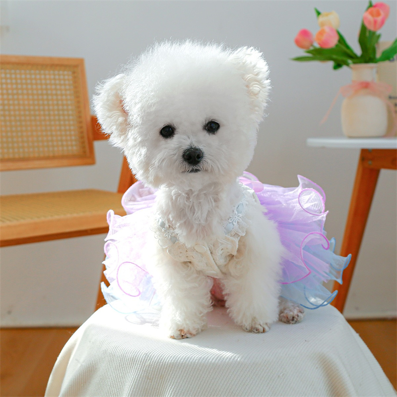 Layered Veil Wedding Dresses f - Summer Light Clothing 리뷰 및 가격